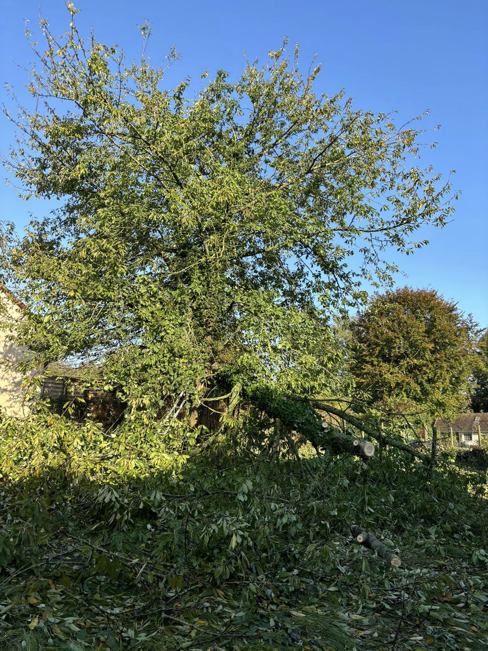 Aménagement d'extérieur à Doullens